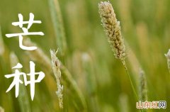 2023年芒种是收获的季节吗 2023芒种的习俗