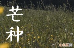 2023年芒种是什么节日 2023芒种的俗语