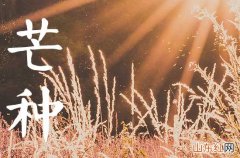 2023年芒种可以种植什么 芒种的注意点