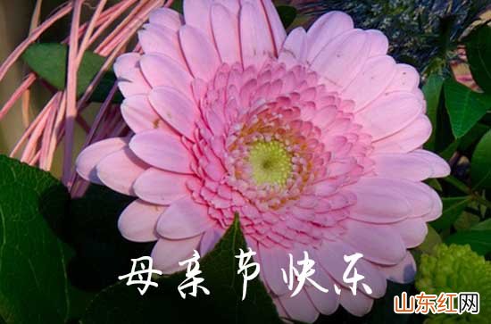2023温馨母亲节祝福语53句