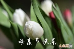 2023年母亲节祝福问候语微信摘录26句