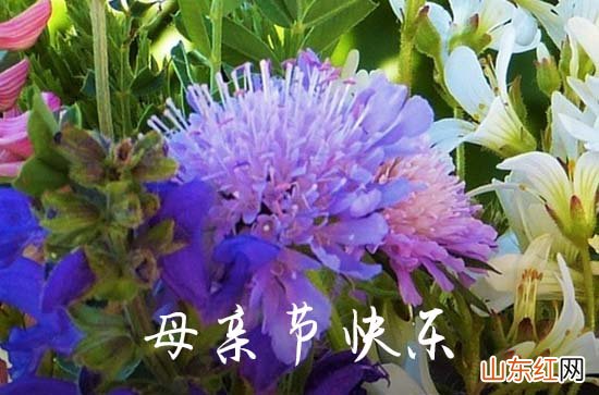 2023年母亲节祝福QQ问候语43句