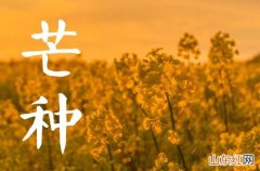 2023年芒种节气的祝福词50句