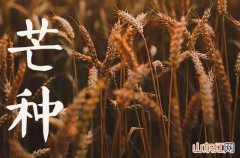 2023年芒种是什么季节 芒种养生食谱