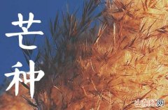 2023年芒种是什么意思 芒种有哪些习俗