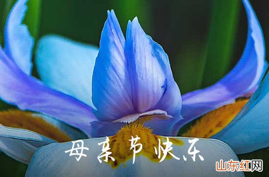 2023年精选母亲节祝福问候语摘录49条