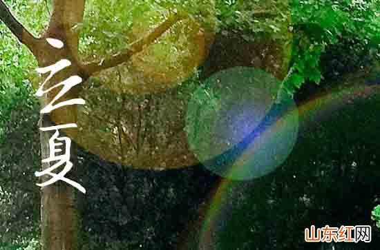 多插立夏秧谷子收满仓指哪种作物 谚语多插立夏秧谷子收满仓是什么意思