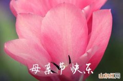 2023母亲节要给婆婆发红包吗 母亲节给婆婆发红包发多少合适