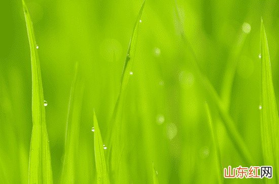 为什么武汉这些天老是下雨 武汉市一年有多少天下雨