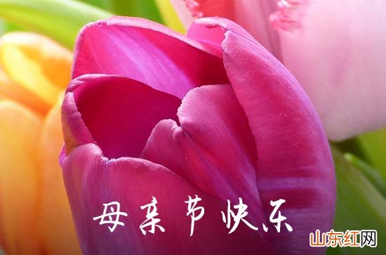 母亲节给老婆发多少红包比较好 母亲节给老婆送什么花