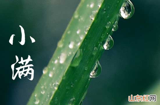 2023年小满是几月几号农历 2023小满农历具体时间