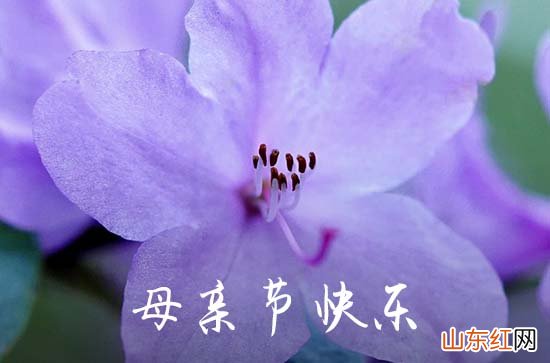 母亲节唯美金句精选100句