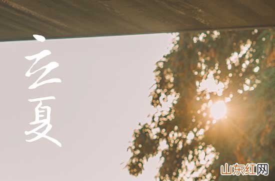 立夏祝福语微信发朋友圈 2023立夏简单特别的祝福语