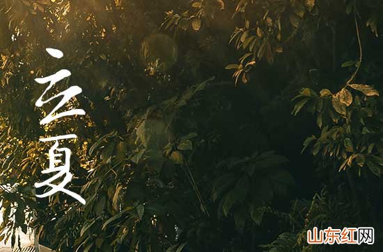 2023年立夏之后就热了吗 今年立夏之后天气会有什么变化