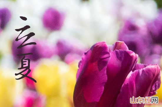 2023年立夏是暑伏吗 2023年立夏入伏了吗