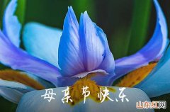 2023最简短的母亲节祝福语80句 2023母亲节温馨语录