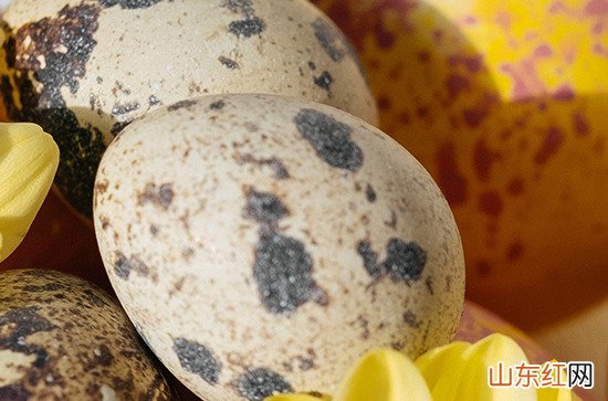 高级感美学封神签名最新 超级美的私藏签名合集