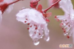 下雨天抖音热搜的文案说说 下雨天抖音热搜的句子