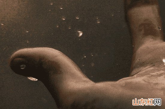 抖音上最火的下雨文案 抖音上最火的下雨说说