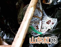 山药排骨汤 铁棍山药排骨汤简单做法