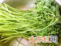 馄饨怎么包法 怎么包馄饨