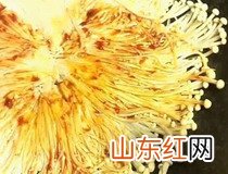 平底锅煎金针菇的做法 5步快速搞定