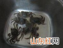 河蟹怎么吃 在家怎么做茶香河蟹？