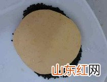 南瓜饼怎么做好吃又简单 软糯南瓜饼简单做法