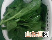 蚕菜怎样炒好吃 家常清炒蚕菜怎么做?