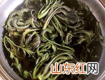 香椿拌豆腐做法 家常菜香椿拌豆腐简单做法步骤