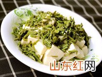 香椿拌豆腐做法 家常菜香椿拌豆腐简单做法步骤