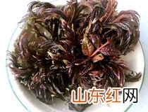 香椿拌豆腐做法 家常菜香椿拌豆腐简单做法步骤